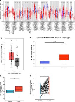 CD93 overexpresses in liver hepatocellular carcinoma and represents a potential immunotherapy target
